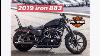 2019 Iron 883 With Sissy Bar