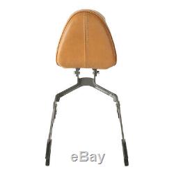 For 2015-2018 Indian Scout Titanium Passenger Backrest Sissy Bar Seat With Rack US