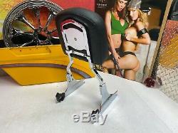 OEM Genuine Harley Softail Detachable Sissy Bar Passenger Backrest