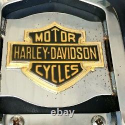 OEM Harley-Davidson 2000-17 SOFTAIL Fat Boy QUICK DETACH SISSY BAR 53810-00C
